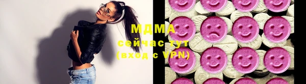 индика Аркадак