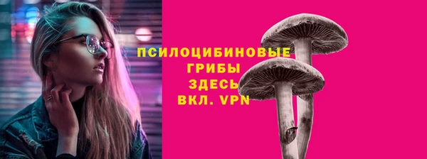 mdpv Армянск