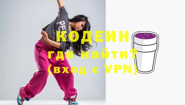 индика Аркадак