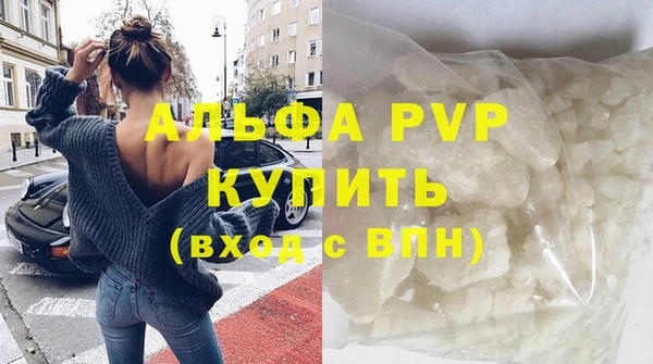 индика Аркадак