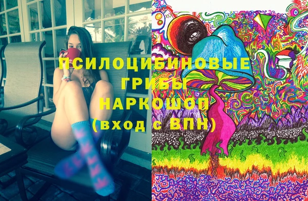 индика Аркадак