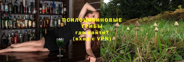 индика Аркадак