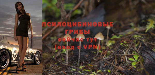 mdpv Армянск