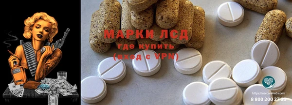 индика Аркадак
